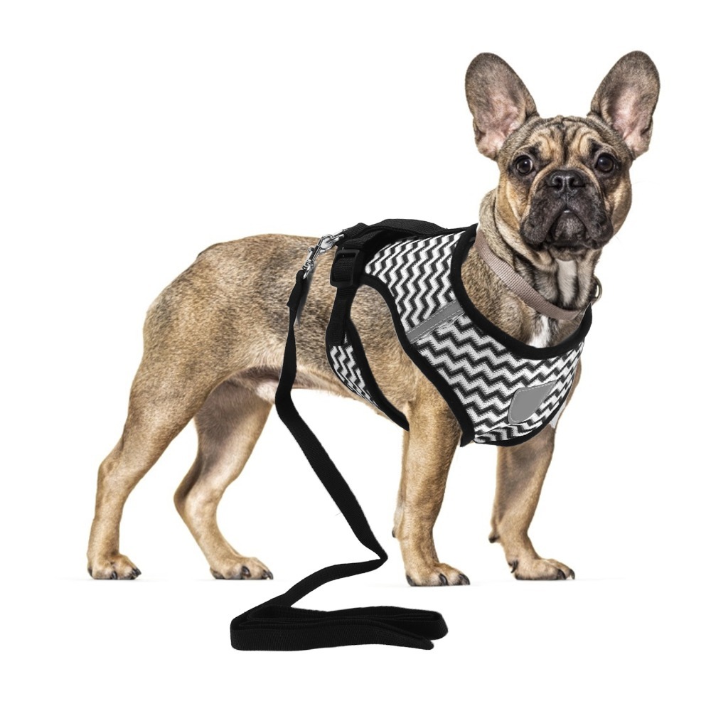 Mesh Fabric Pet Harness Set I- - Fabric Weight Set recension och pris
